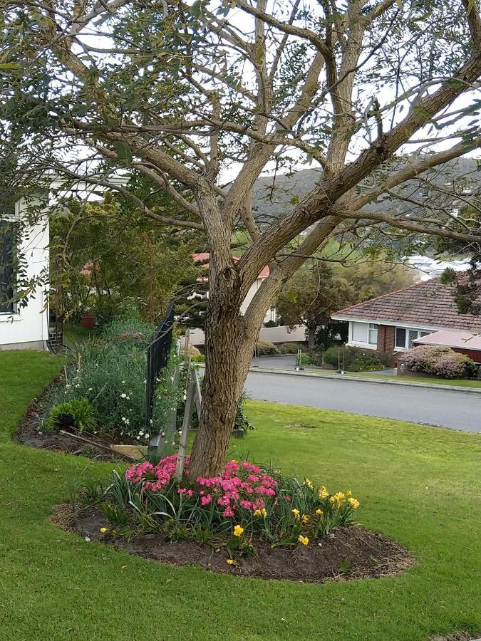 C'Est La Vie Bed & Breakfast Albany Dış mekan fotoğraf