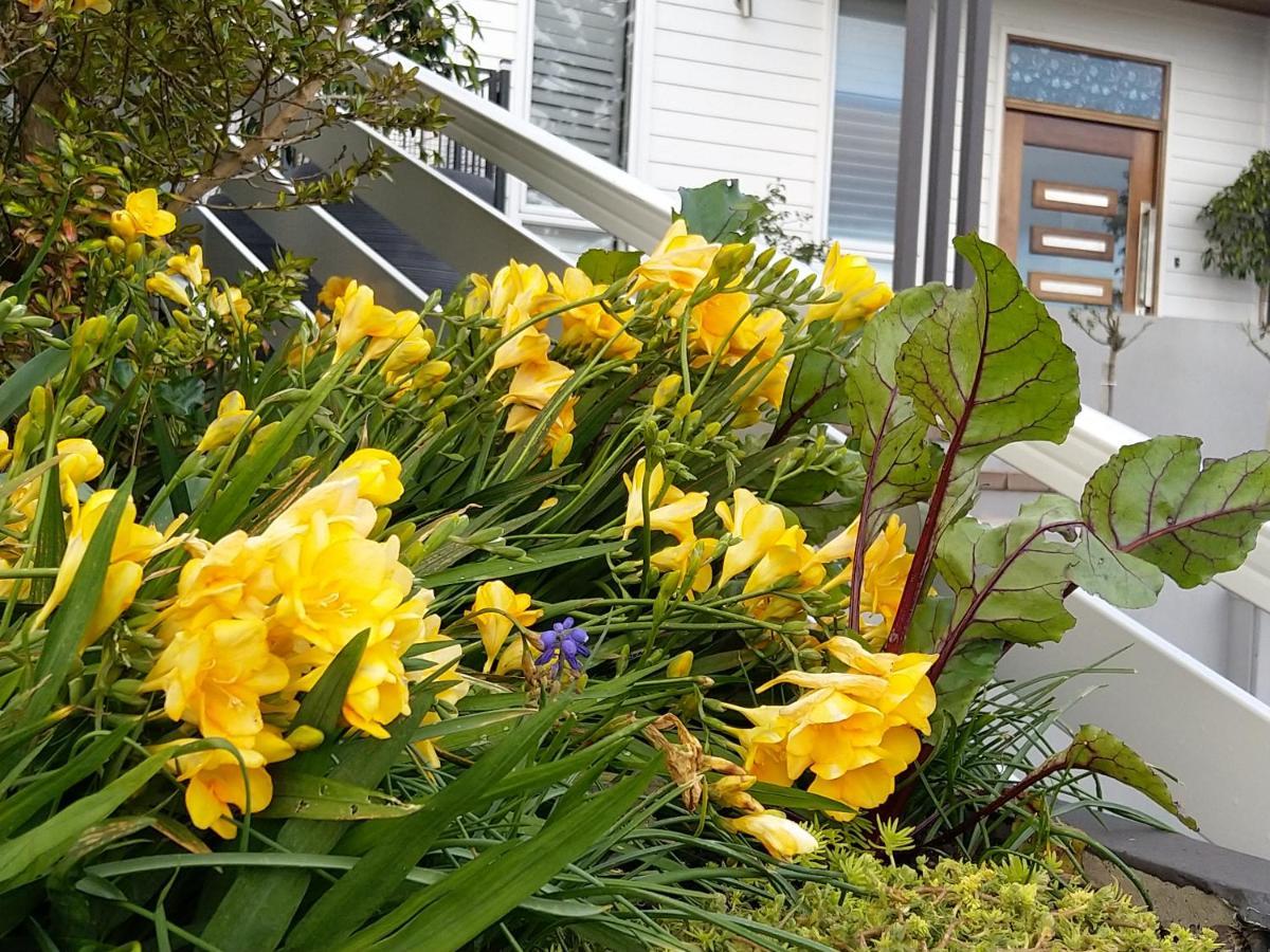 C'Est La Vie Bed & Breakfast Albany Dış mekan fotoğraf