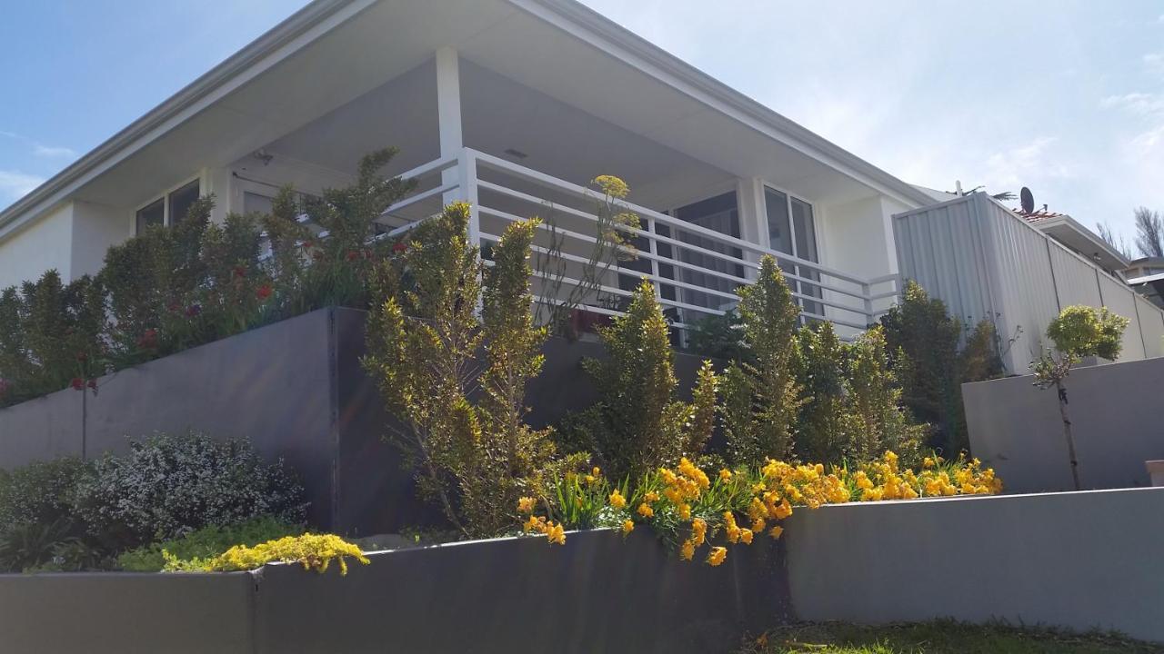 C'Est La Vie Bed & Breakfast Albany Dış mekan fotoğraf
