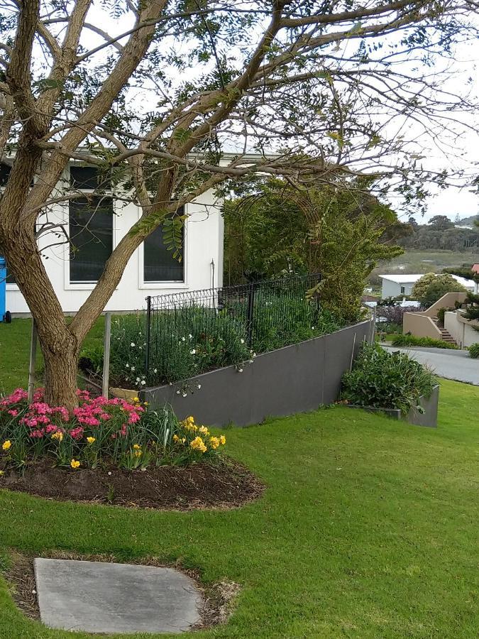 C'Est La Vie Bed & Breakfast Albany Dış mekan fotoğraf